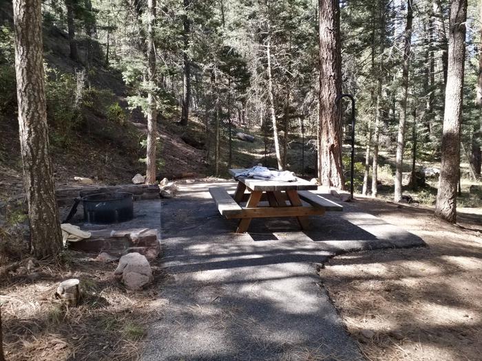 Site 5 with a picnic table, fire ring, and lantern pole. Walk-in campsite.