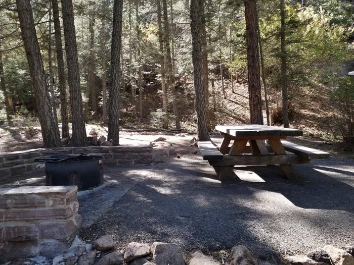 Site 6 with a campfire ring and a picnic table. Walk-in campsite.