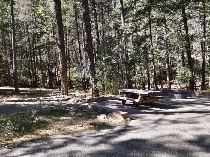 Site 12 with a picnic table, campfire ring, lantern pole, and parking.