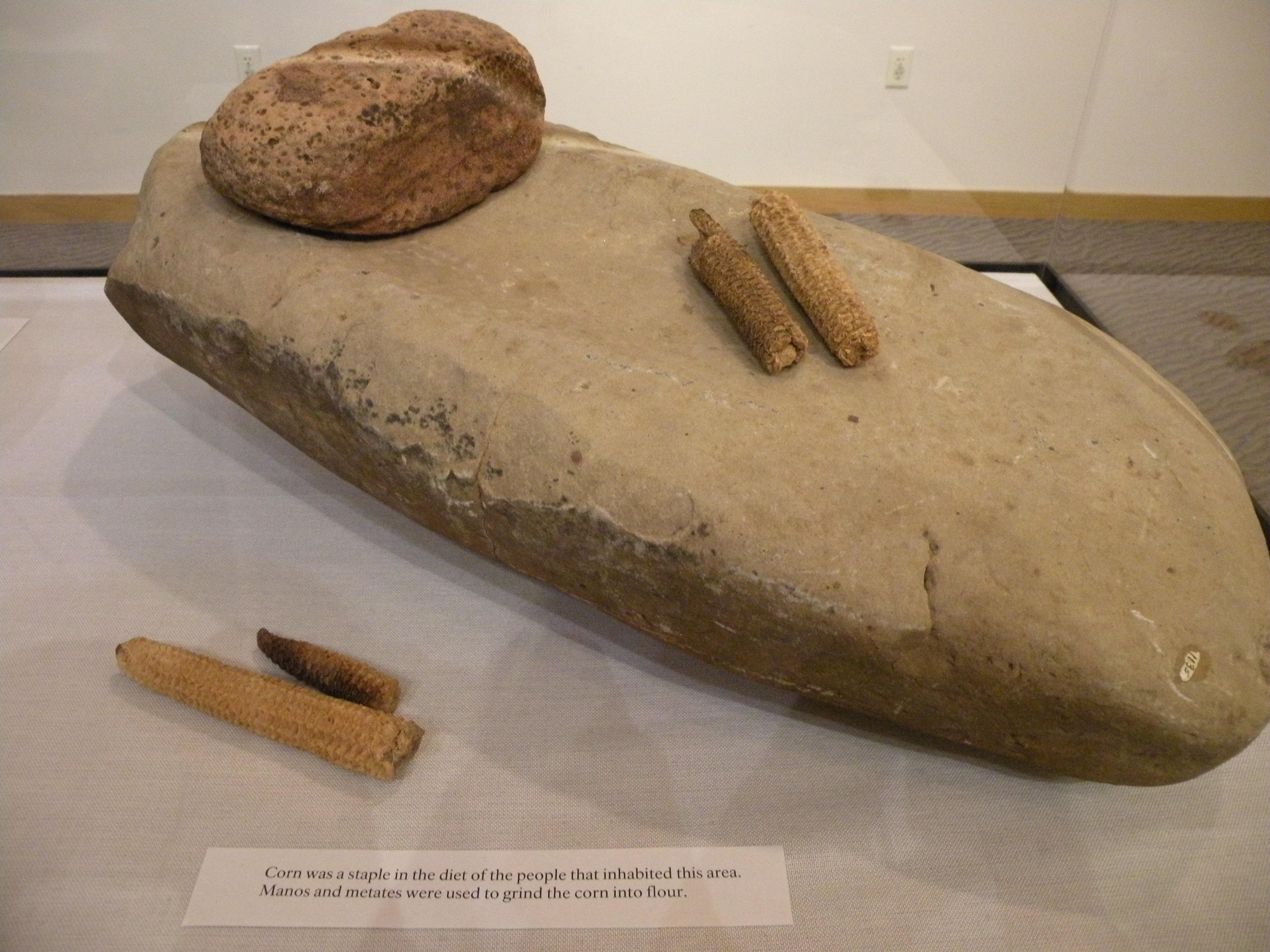 Human History Museum