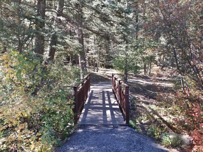 A bridge leads to the forest with fall foliage on nearby shrubs.Bridge to walk-in sites.