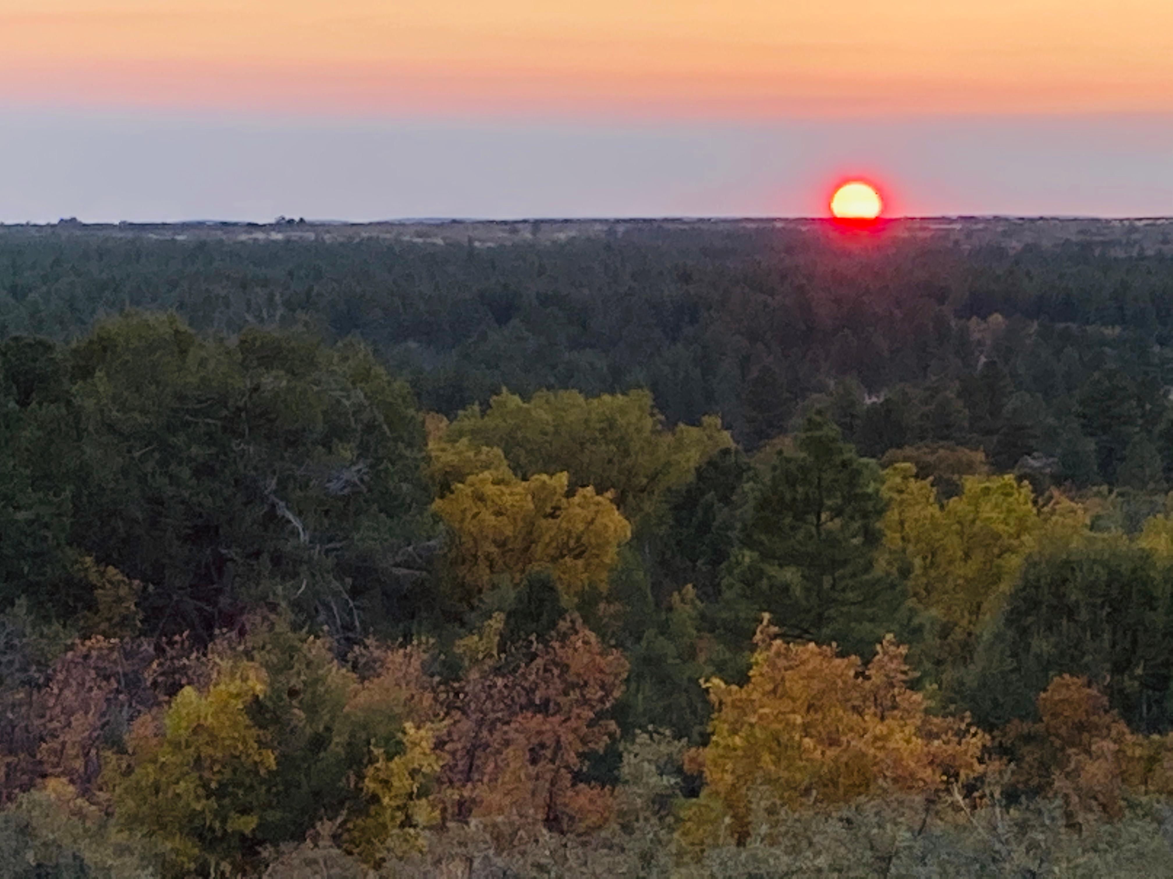 Fall sunset