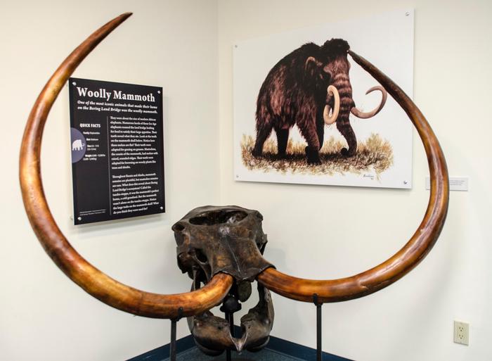 Woolly MammothWoolly mammoth exhibit