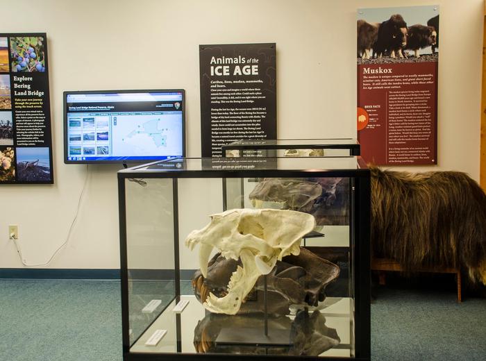 Touch screen monitor and Ice Age Exhibit Panels