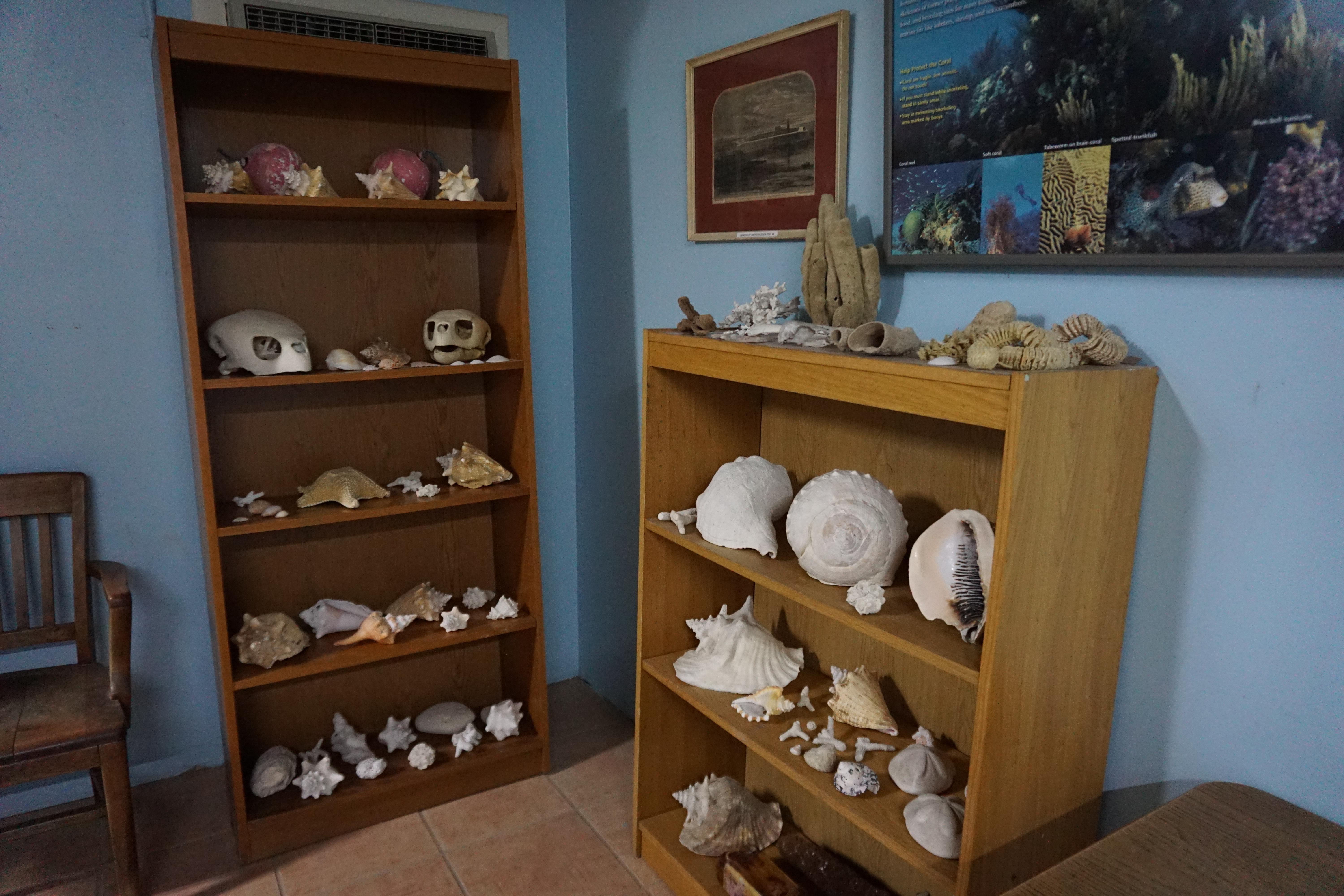 Garden Key VC Bookcase Display