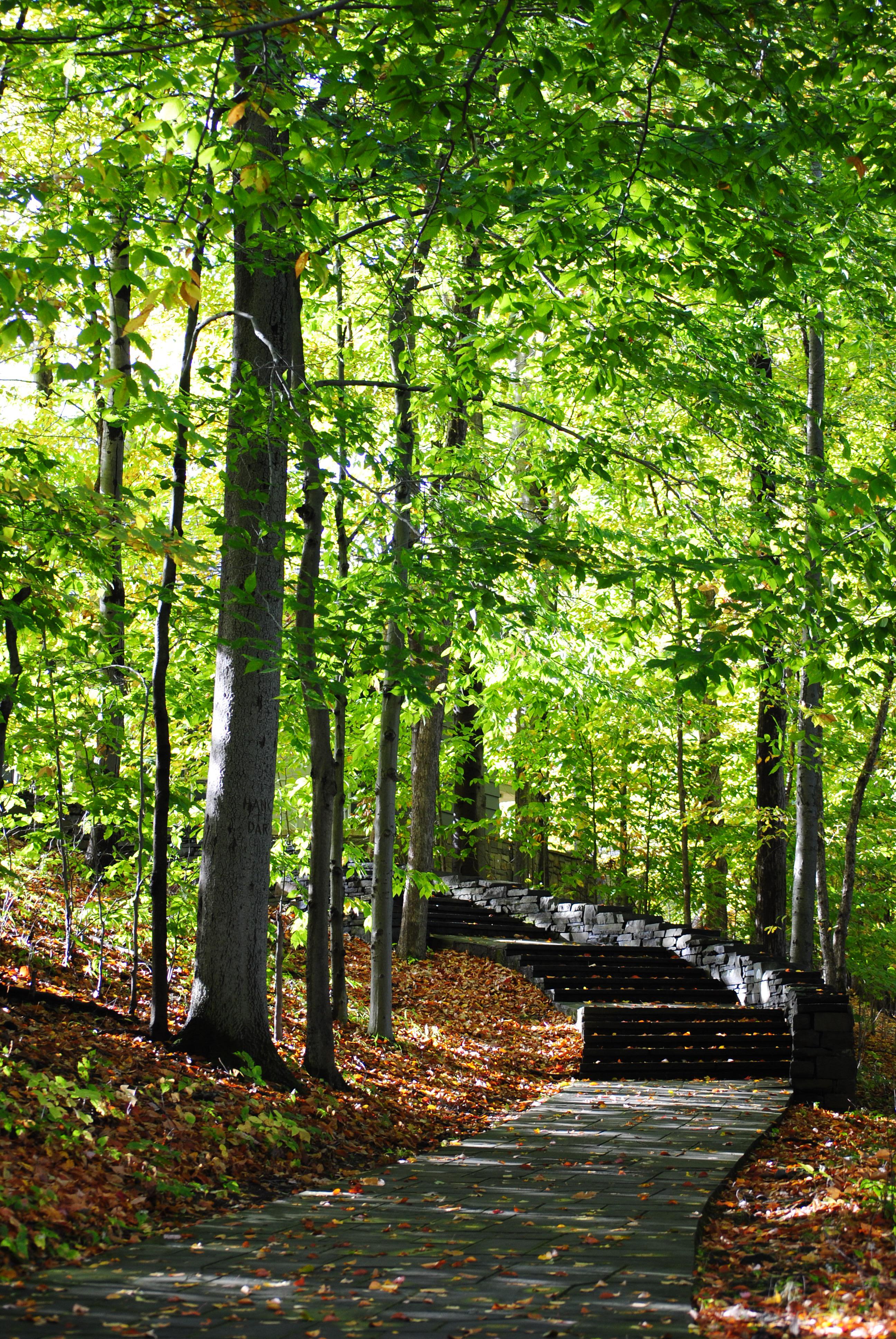 Stairway to Visitor Center