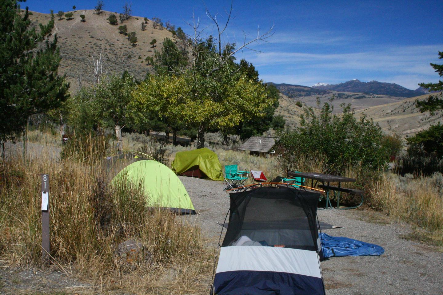 Mammoth Hot Springs Campground Site 81Mammoth Campsite #81
