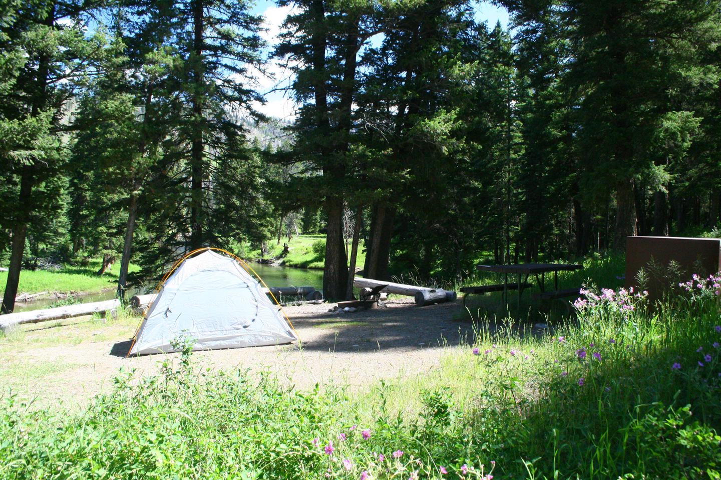 Slough Creek Campground Site #1.....Slough Creek Campground Site #1