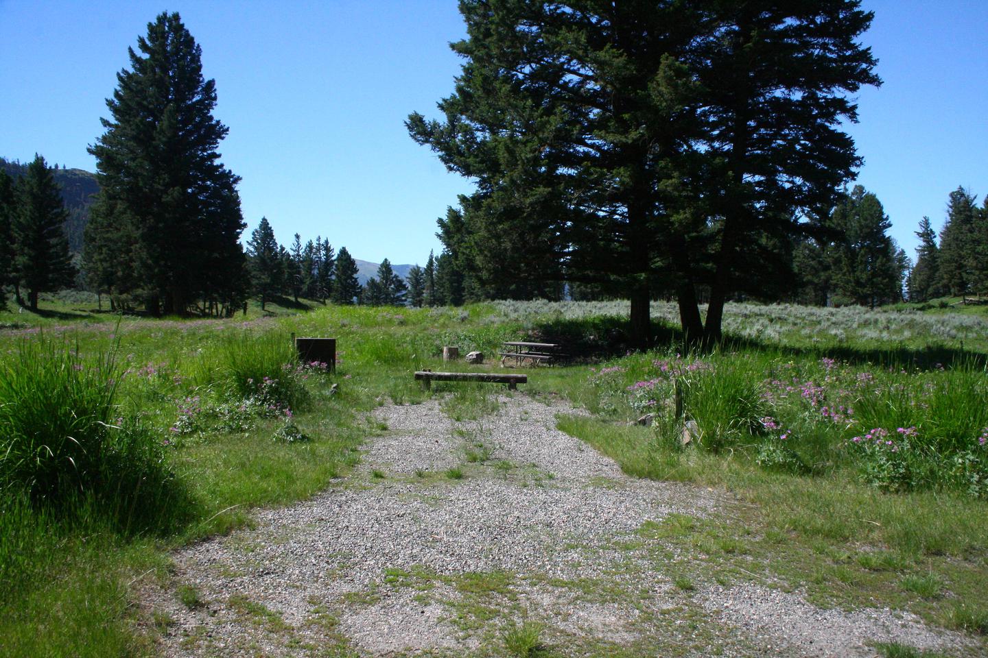 Slough Creek Campground Site #8..Slough Creek Campground Site #8