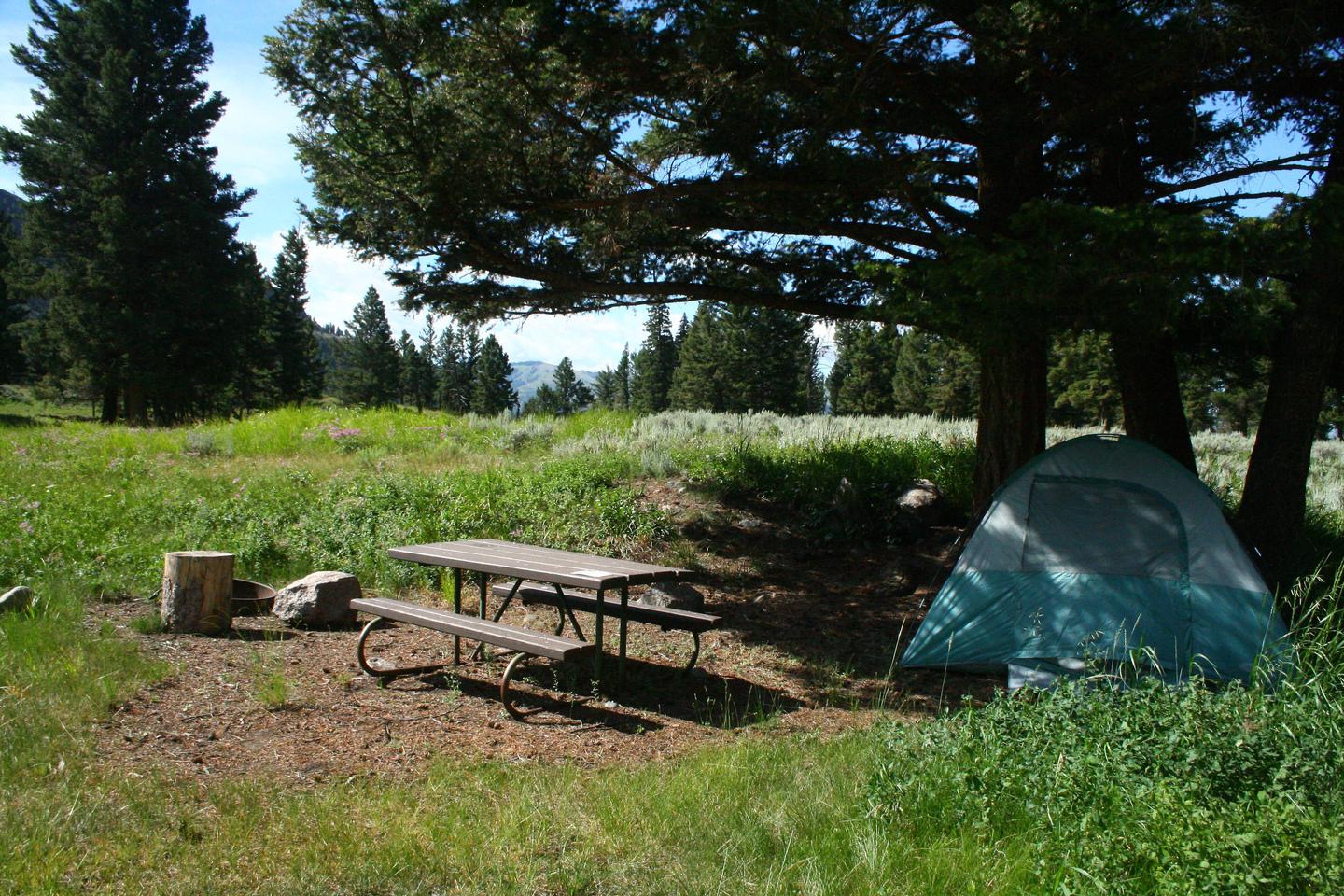Slough Creek Campground Site #8...Slough Creek Campground Site #8
