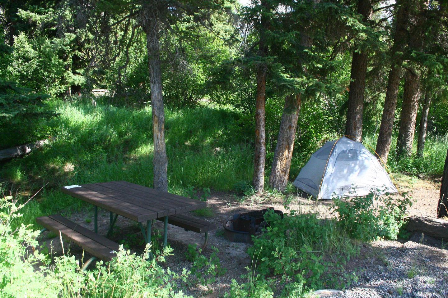 Slough Creek Campground Site #10...Slough Creek Campground Site #10