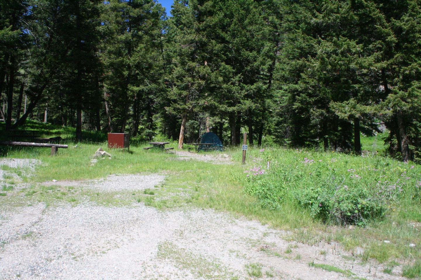 Slough Creek Campground Site #12