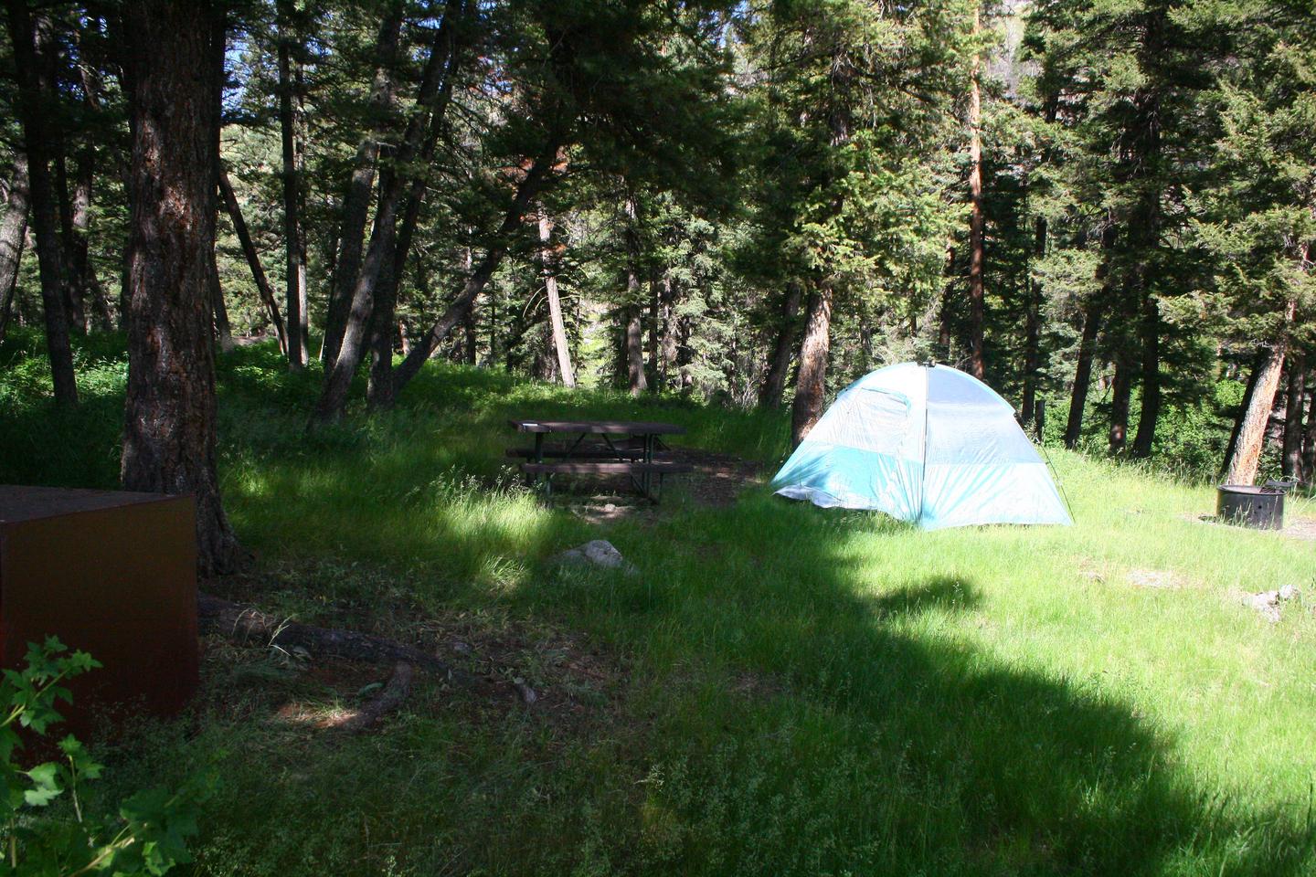 Slough Creek Campground Site #13