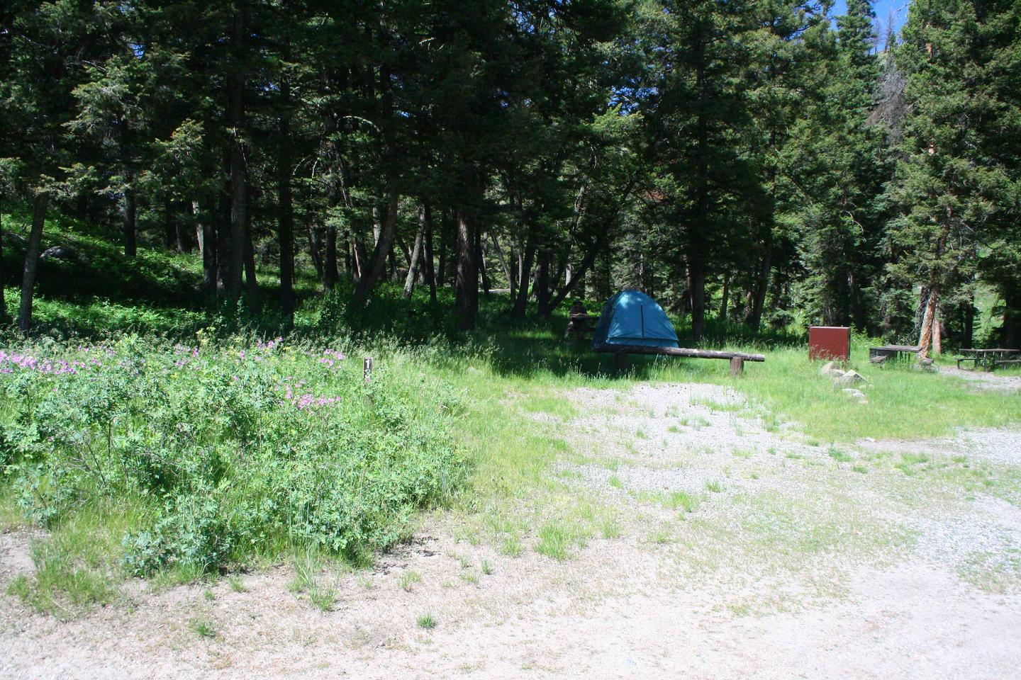 Slough Creek Campground Site #13..Slough Creek Campground Site #13