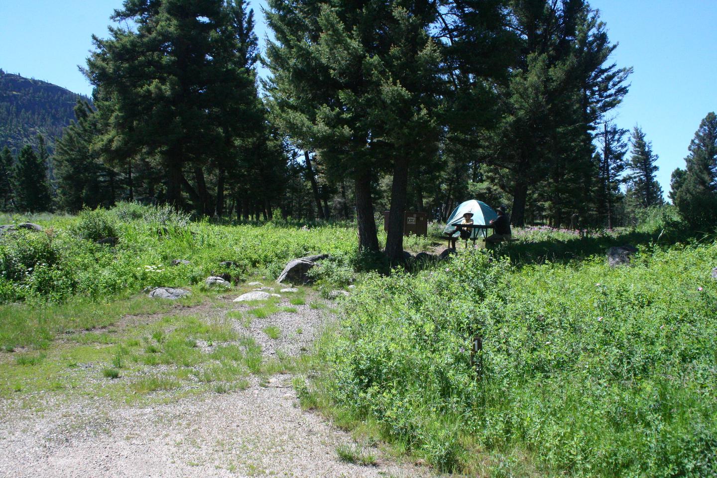 Slough Creek Campground Site #14...Slough Creek Campground Site #14