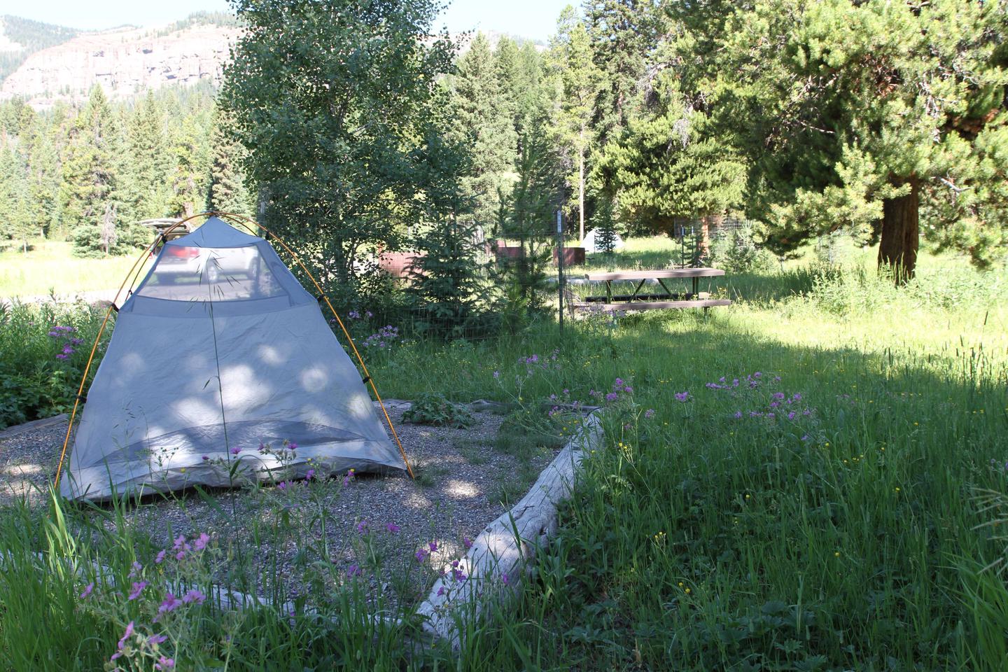 Pebble Creek Campground Site #2