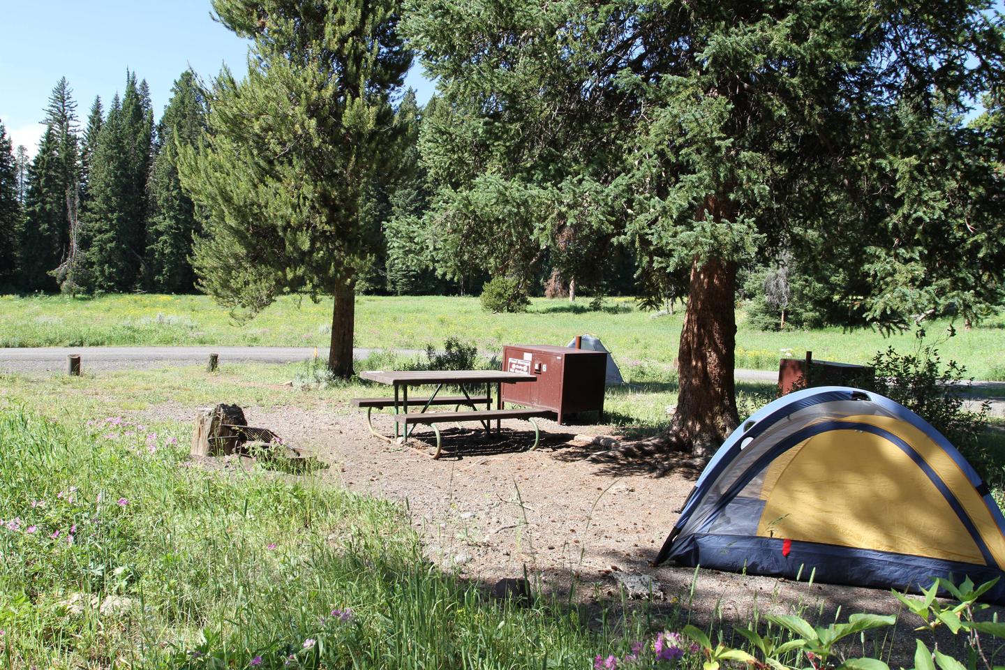 Pebble Creek Campground Site #6