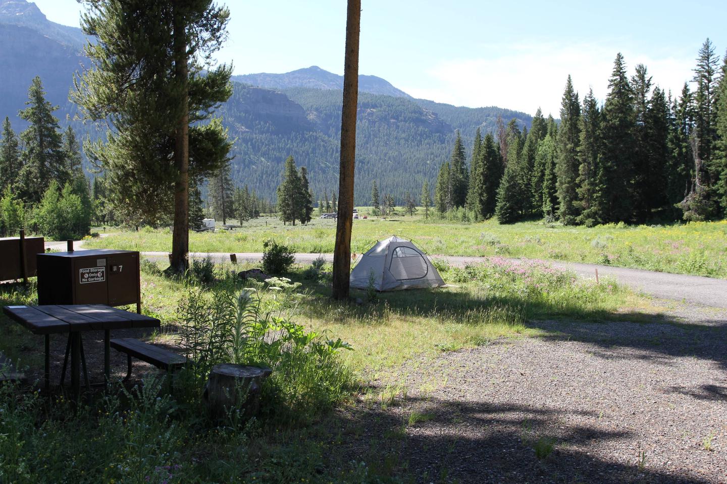 Pebble Creek Campground Site #7