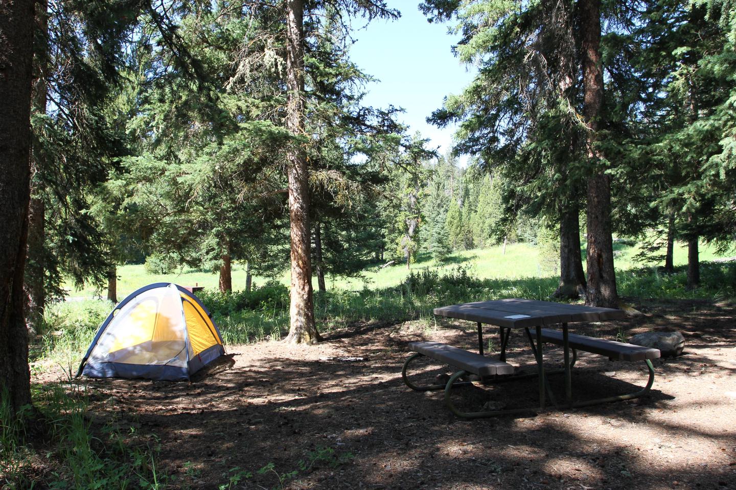Pebble Creek Campground Site #10.Pebble Creek Campground Site #10