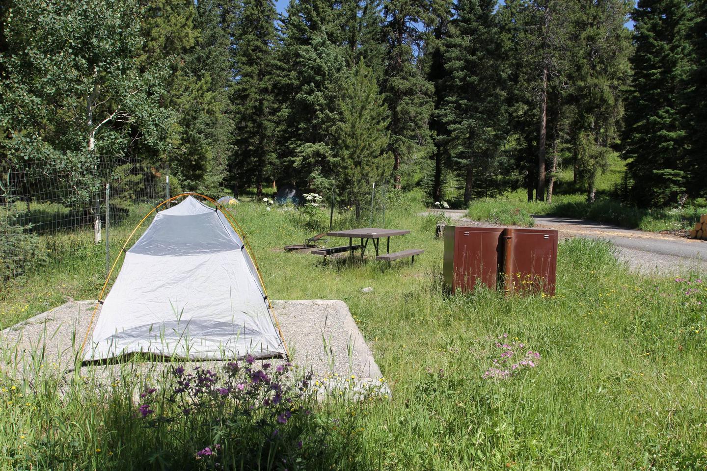 Pebble Creek Campground Site #13..Pebble Creek Campground Site #13