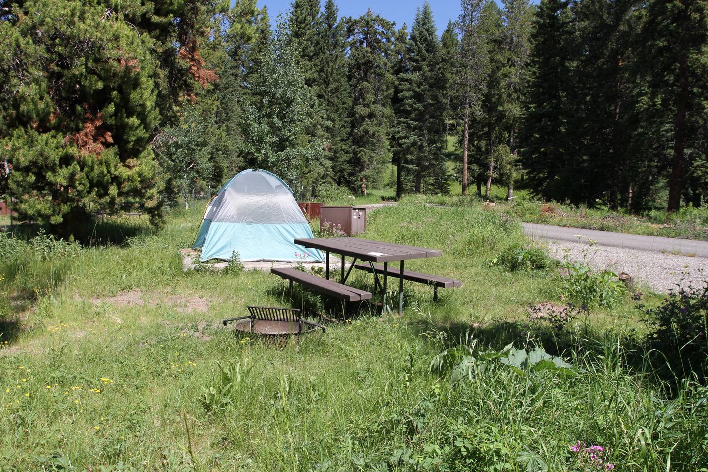 Pebble Creek Campground Site #14