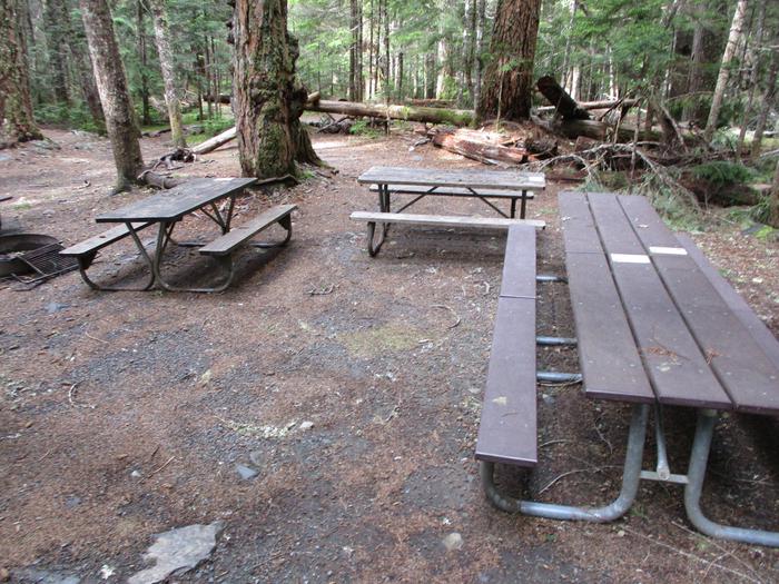 Picnic Tables and Fire Pit