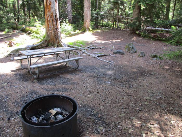 Picnic Table and fire ring