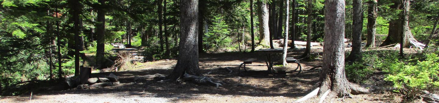 Fire Ring and Picnic Table