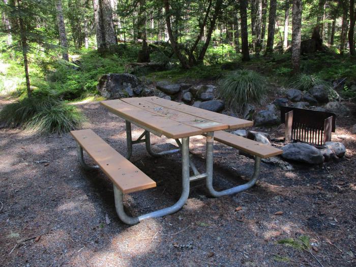 Picnic Table and Fire Ring 