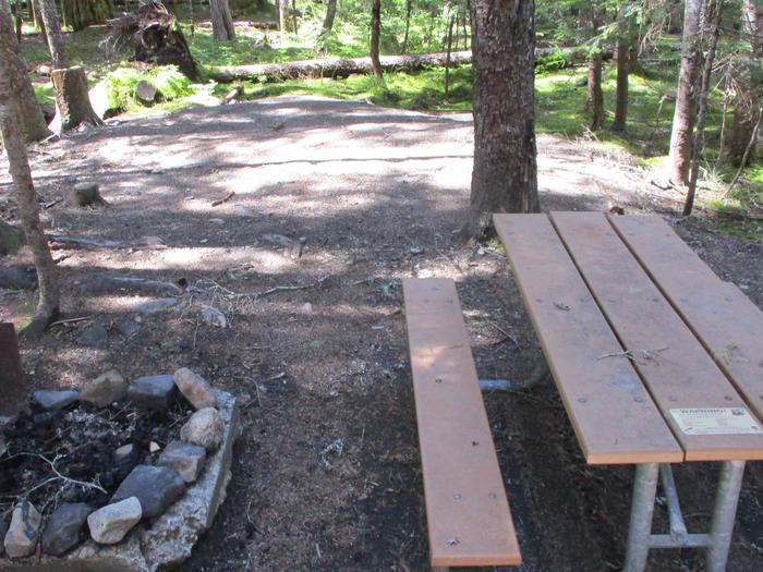 Picnic Table and Fire Pit