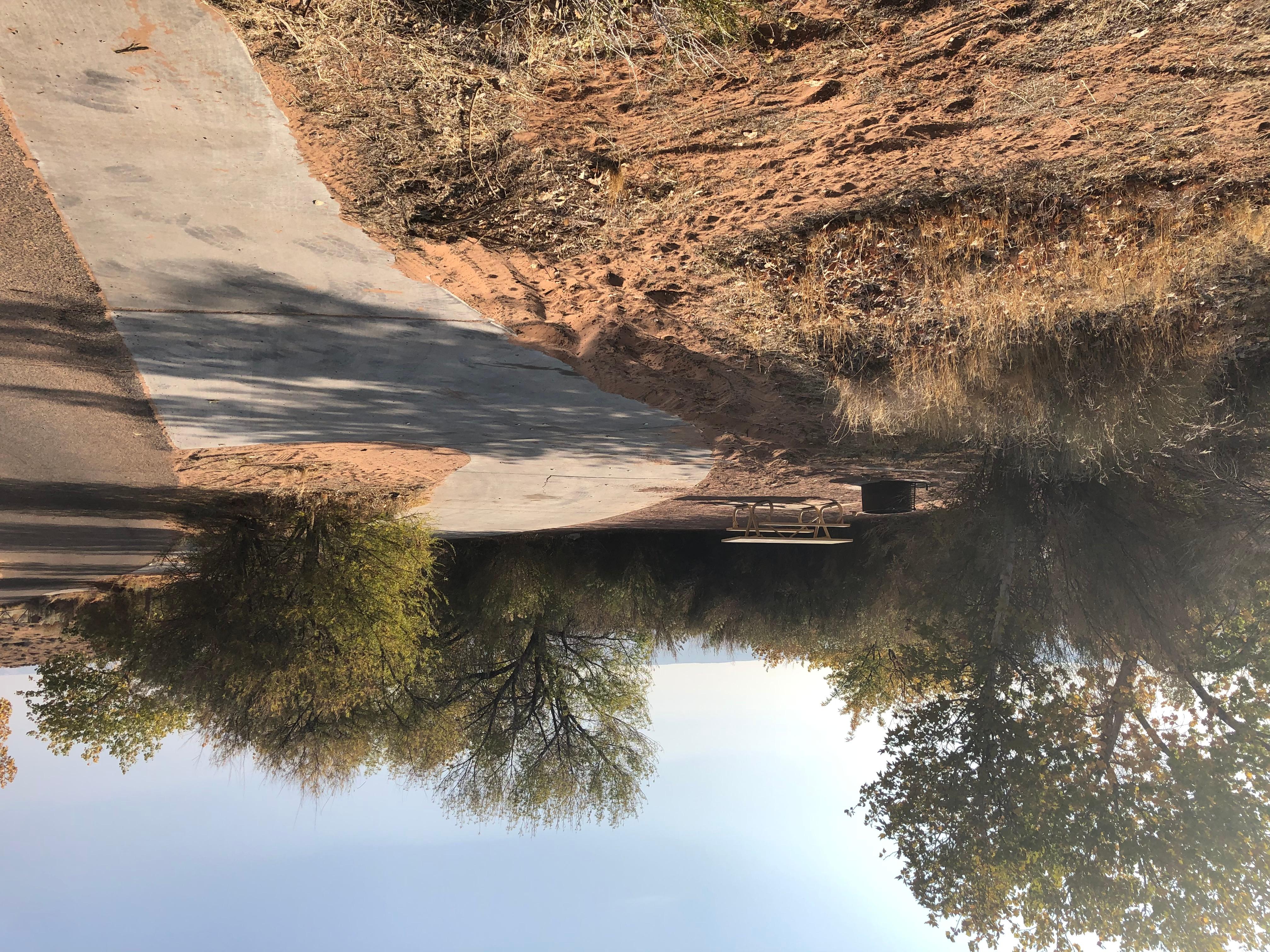 Bullfrog Rv & Campground