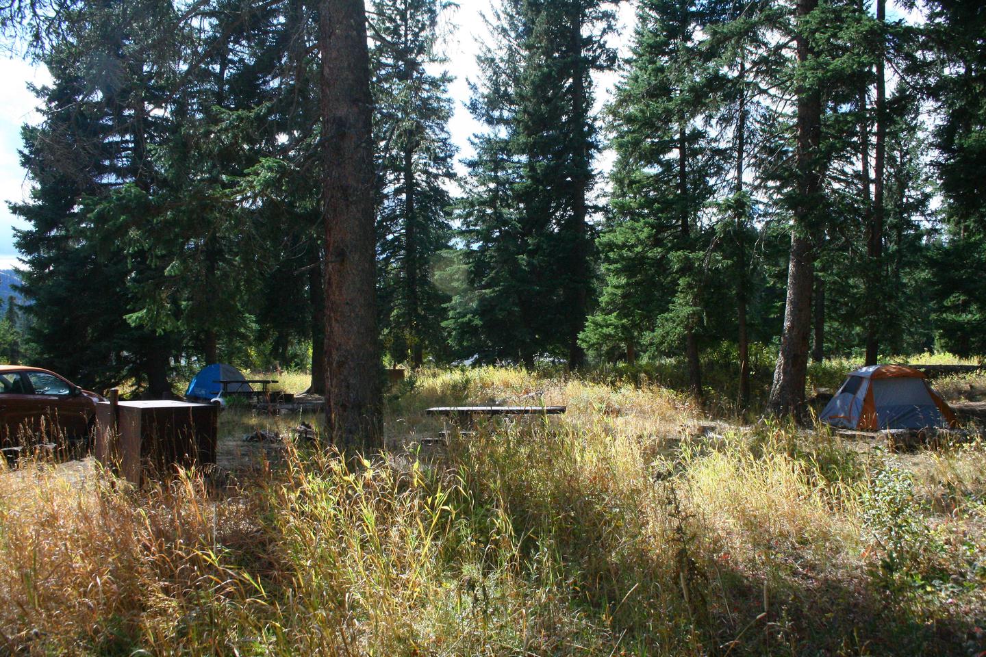 Pebble Creek Campground Site #20..Pebble Creek Campground Site #20