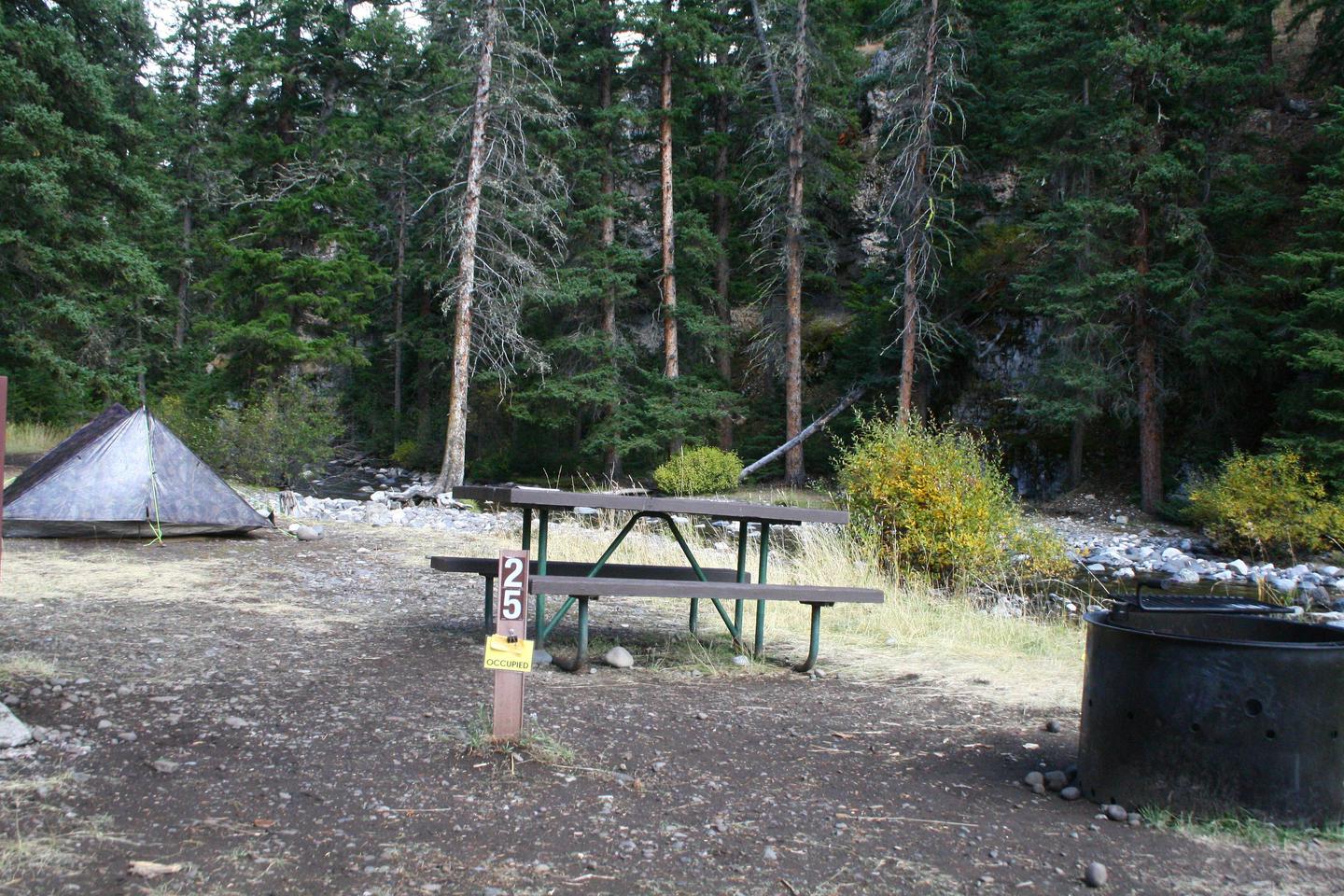 Pebble Creek Campground Site #25.Pebble Creek Campground Site #25