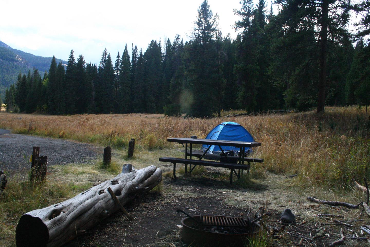 Pebble Creek Campground Site #8...Pebble Creek Campground Site #8