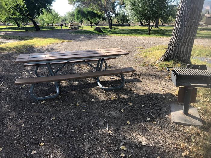 Picnic table and grill