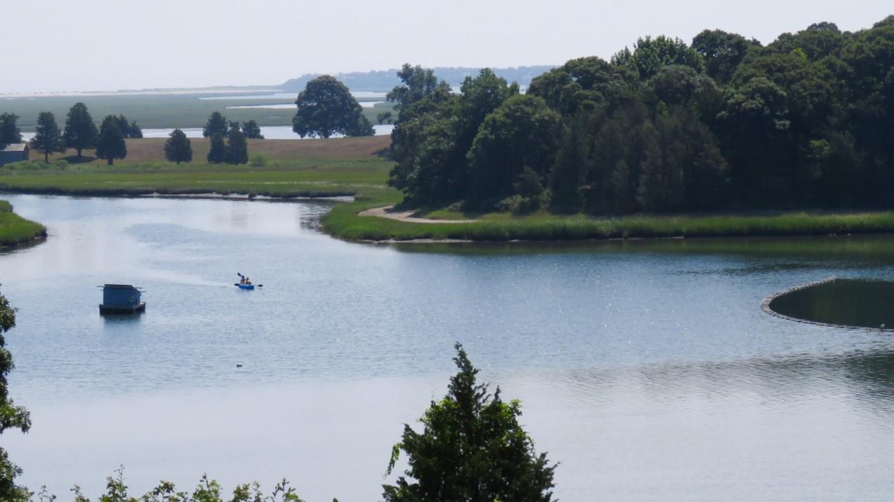 Salt Pond