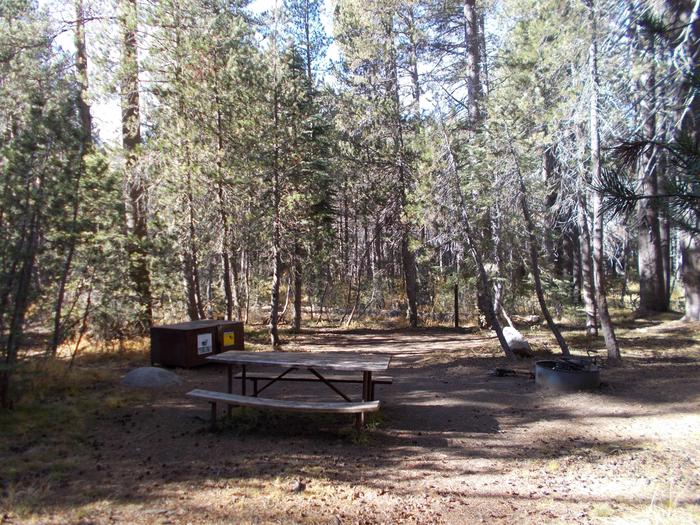 Food locker, picnic table, and fire ringSite 1