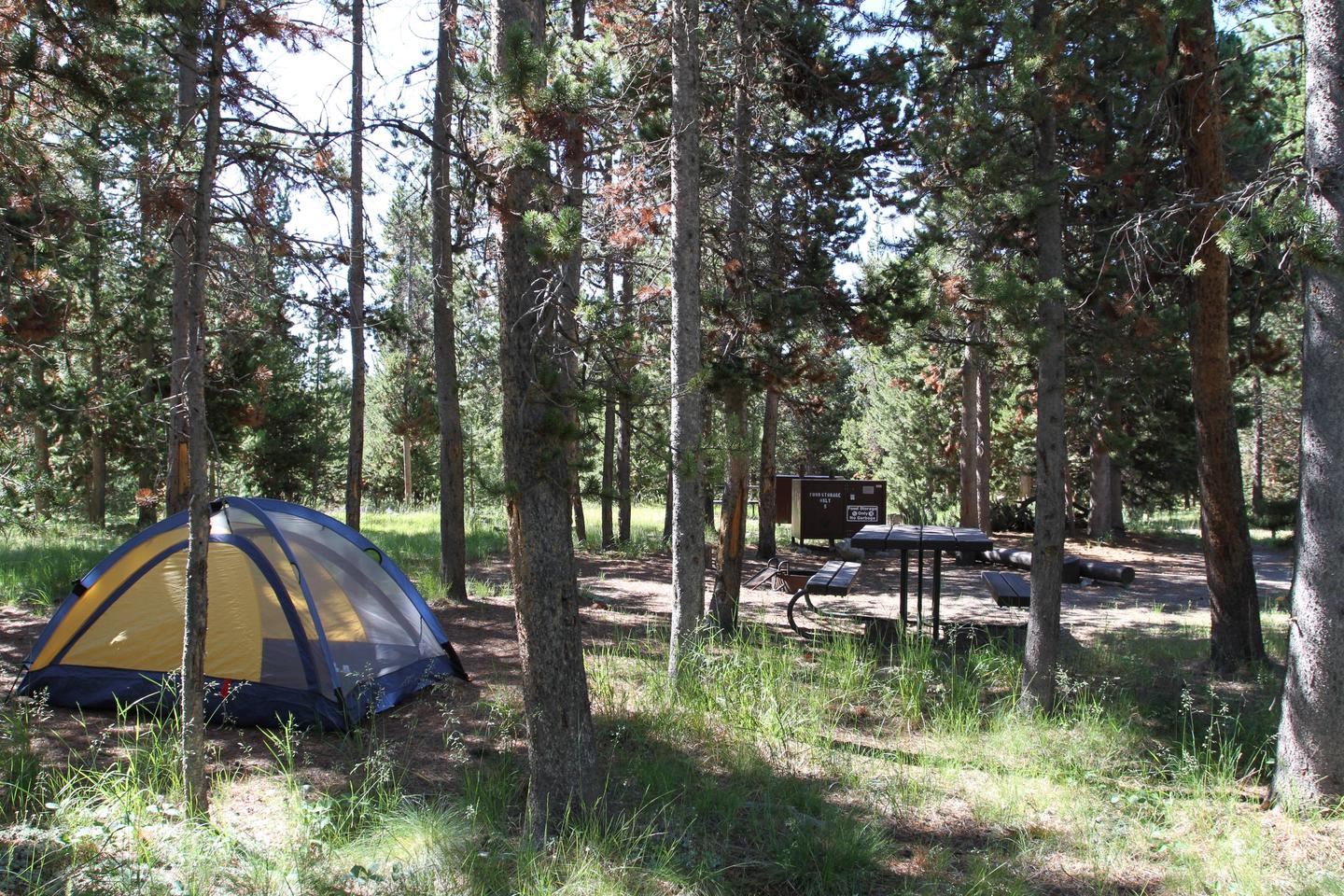 Indian Creek Campground site #5