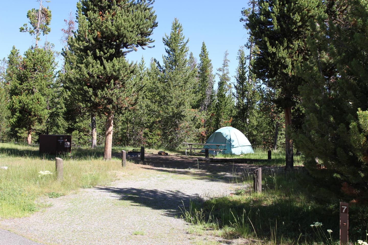 Indian Creek Campground site #7