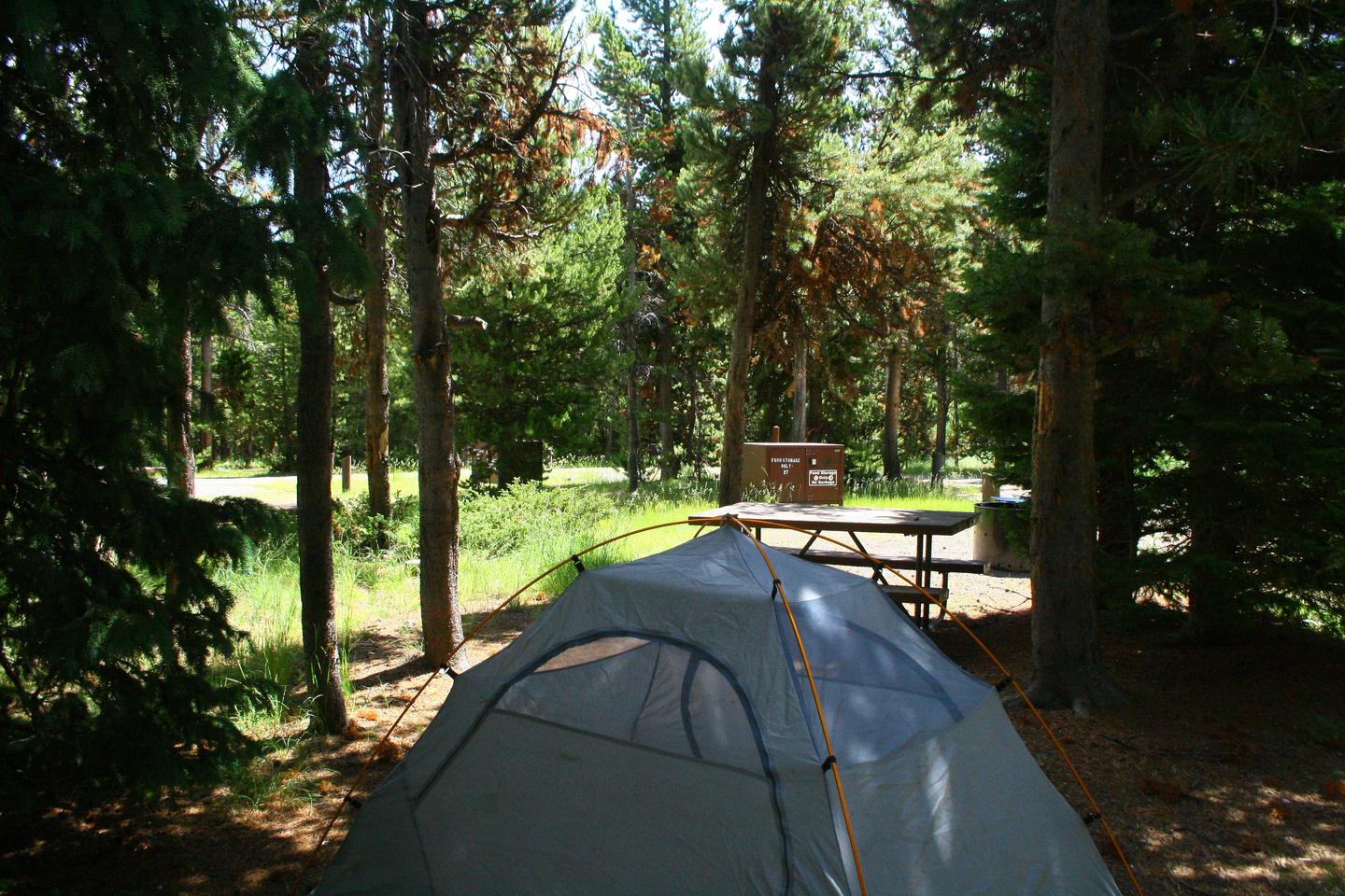 Indian Creek Campground site #27