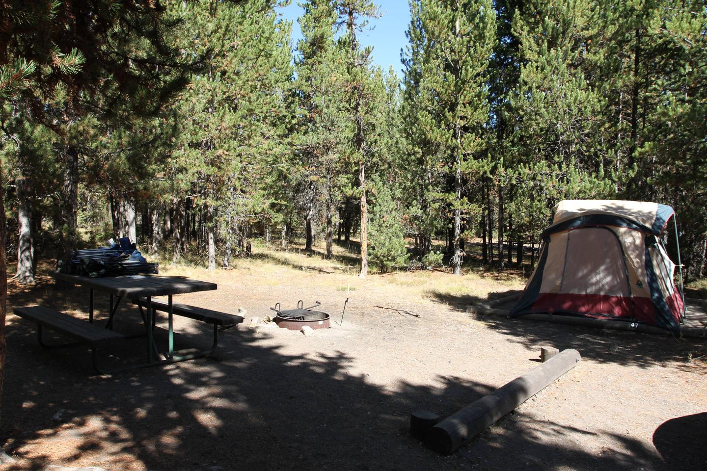 Indian Creek Campground site #47
