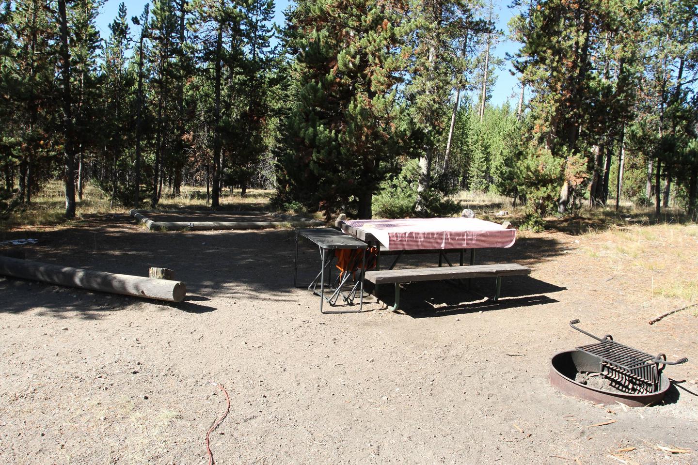 Indian Creek Campground site #50