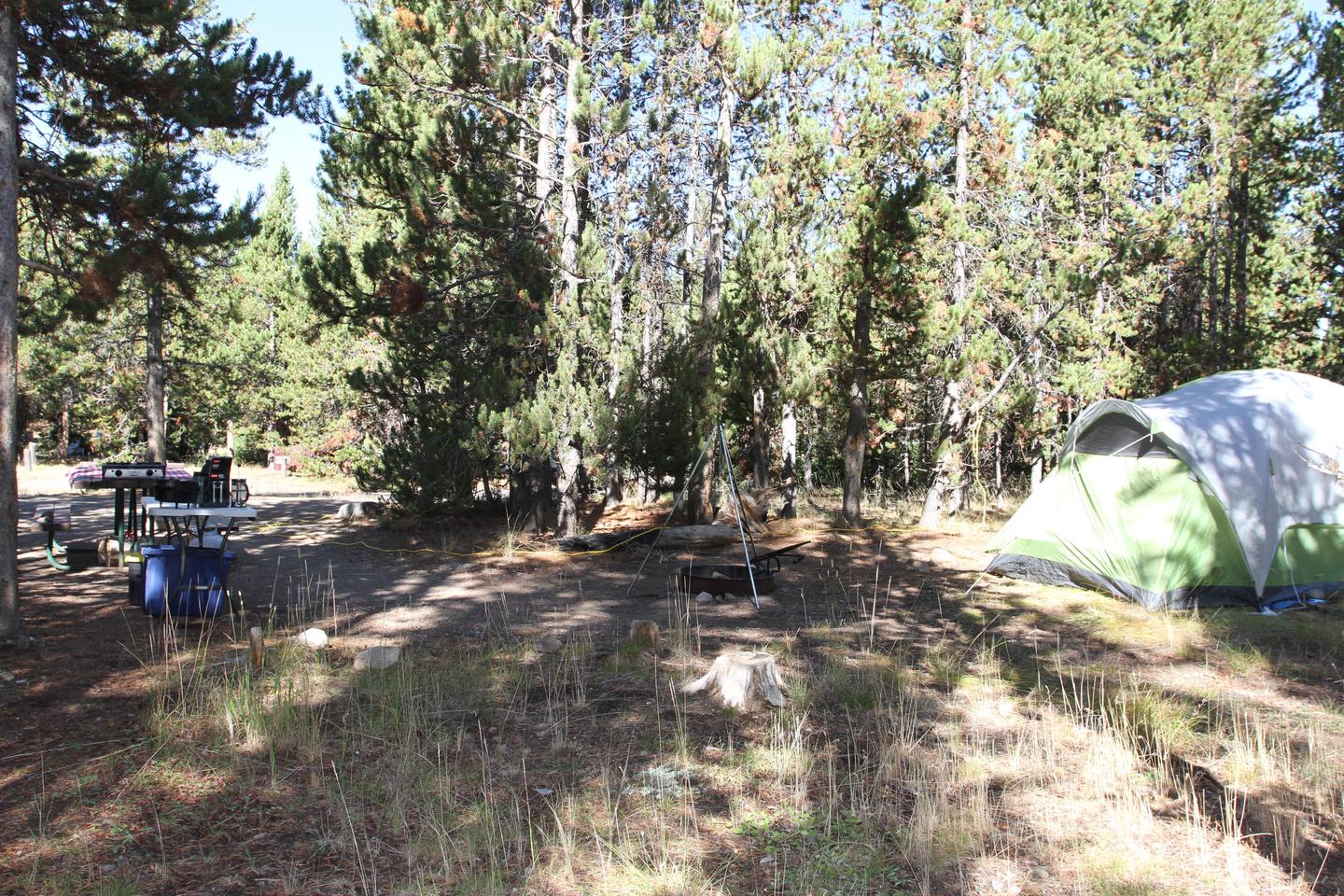 Indian Creek Campground site #57