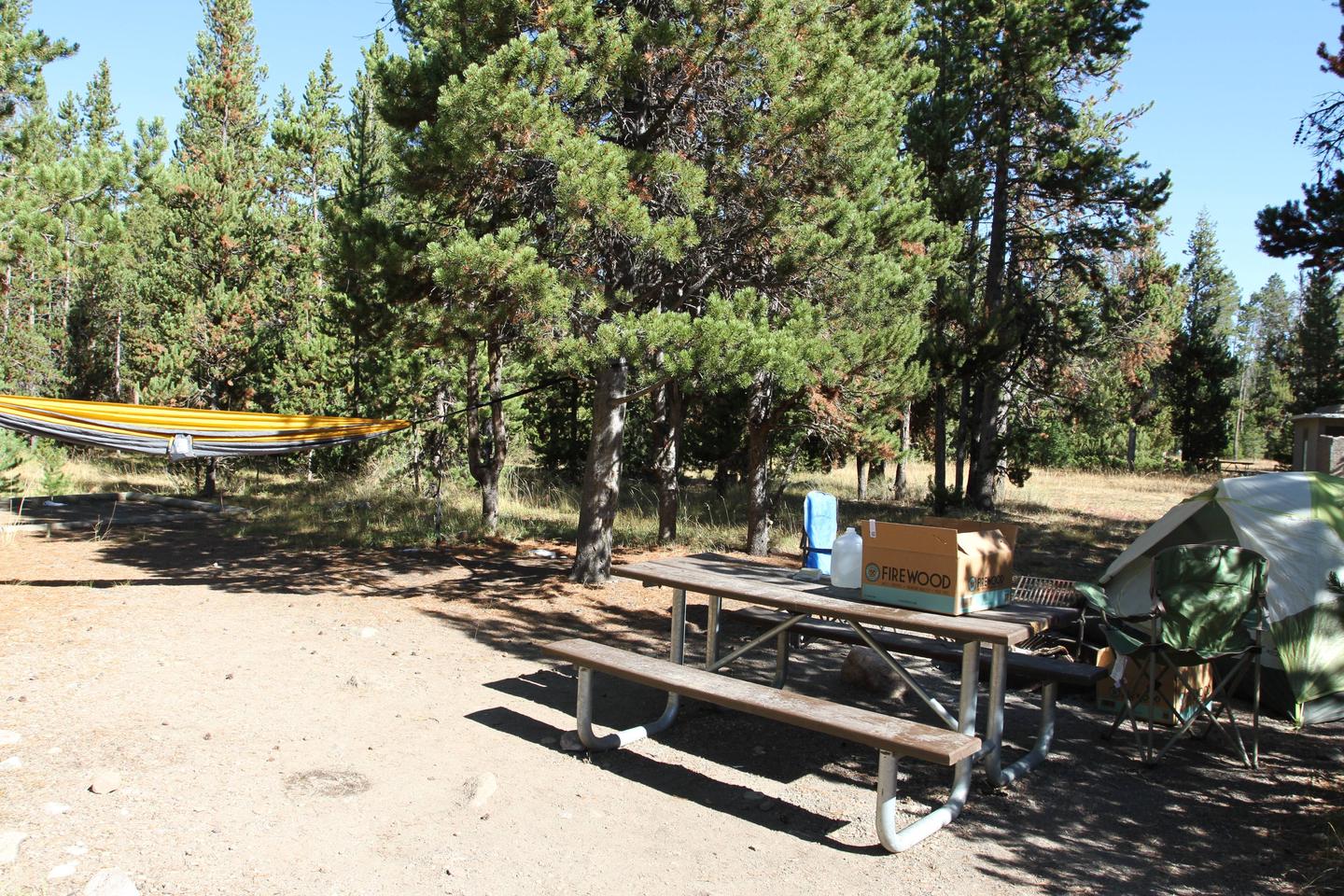 Indian Creek Campground site #61