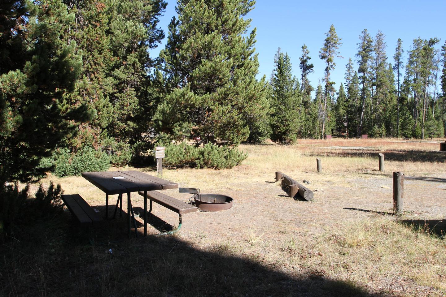 Indian Creek Campground site #65