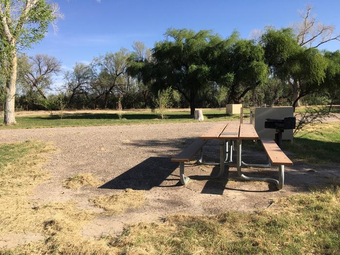 Picnic table, raised grill, and bear box at this site