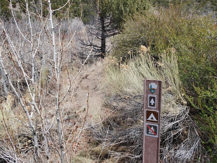 A fiberglass sign marking a sandy trail flanked by bushes near the Buck Creek campsite.While hiking along the trail, this sign marks that you are about to arrive at the Buck Creek campsite.