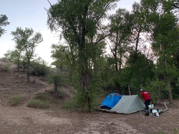 Indian GroveA backpacker sets up camp at the Indian Grove Designated Campsite in summer 2020. 