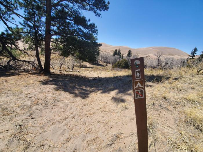 A fiberglass sign marking a sandy trail with dunes in the background near the Indian Grove campsite.While hiking along the trail, this sign marks that you are about to arrive at the Indian Grove campsite.
