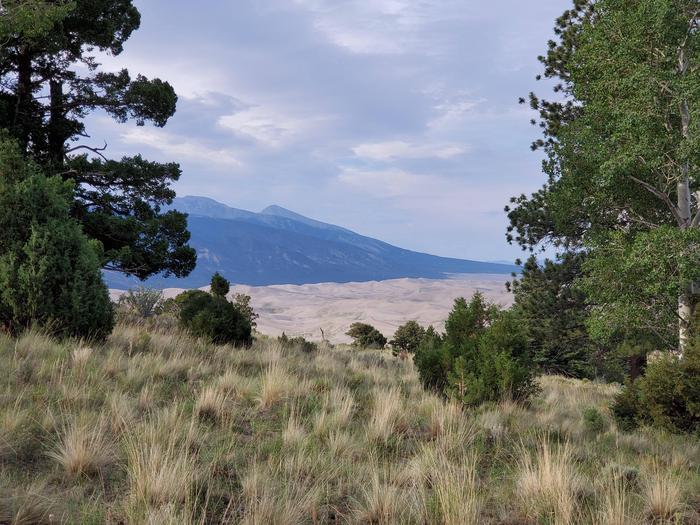 A view of the dunes flanked by aspen and pine trees with the Sangre De Cristo Mountains rising in the background.Aspen is the highest elevation backcountry site, allowing for spectacular views of the dunes and the San Luis Valley.